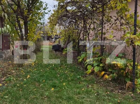 Casa de vânzare 3 camere Ungheni - 209666CV | BLITZ Târgu Mureș | Poza7