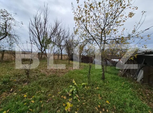 Casa de vânzare 3 camere Ungheni - 209666CV | BLITZ Târgu Mureș | Poza5