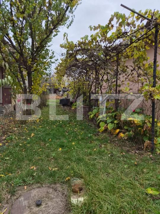Casa de vânzare 3 camere Ungheni - 209666CV | BLITZ Târgu Mureș | Poza7