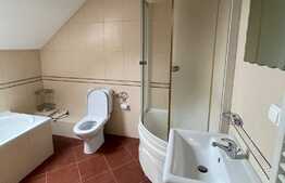 De vânzare casă individuală, 270 mp utili, 500 mp teren, cartierul Unirii, zona liniștită