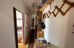 Apartament de 3 camere, 60 mp, zona piața Dacia