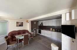 Investiție! Casa de vânzare cu 7 apartamente, 490 mp utili, zona Centrala!