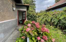 Casa cu 2 camere, 80 mp, ideal pentru spațiu comercial.