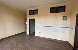 Oportunitate! Casa mare de vânzare 400 mp, pe Platou