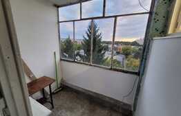 Garsoniera de 30 mp, ideala pentru investitii, Aleea Carpati!