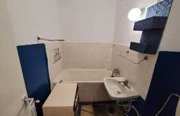 Garsoniera de 30 mp, ideala pentru investitii, Aleea Carpati!