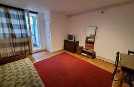 Garsoniera de 30 mp, ideala pentru investitii, Aleea Carpati!