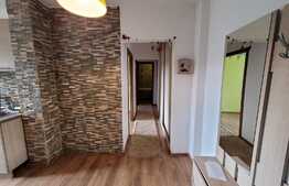 Apartament 3 camere decomandat, 55 mp utili, zona Tudor!