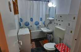 Apartament cu 3 camere de inchiriat, cartierul Tudor