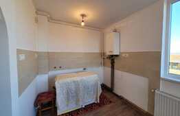 Garsoniera, 30 mp utili, renovata recent, Aleea Carpati!