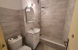 Garsoniera, 30 mp utili, renovata recent, Aleea Carpati!