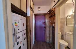 Garsoniera, 30 mp utili, renovata recent, Aleea Carpati!