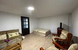 Apartament cu 3 camere, curte mare, lângă Sapientia!