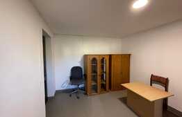 Apartament cu 3 camere, curte mare, lângă Sapientia!
