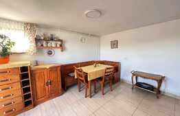 Apartament cu 3 camere, curte mare, lângă Sapientia!