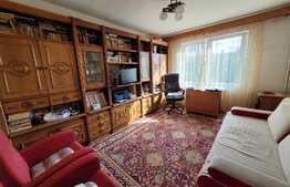 Foarte luminos si calduros! Apartament 3 camere, 60 mp utili, zona Tudor!