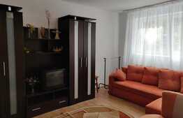 Garsoniera de 40 mp, cartierul 22 Decembrie, zona Catedrala Mica, aproape de UMF