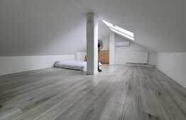 Penthouse de lux, 2 camere, 110 mp utili, terasa 40 mp,  zona Unirii!