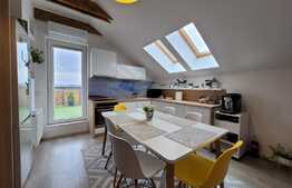 Penthouse de lux, 2 camere, 110 mp utili, terasa 40 mp,  zona Unirii!