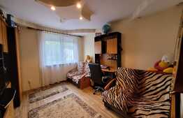 Apartament 2 camere decomandat, 44 mp utili! Sud-Vest! Zona Mureseni!