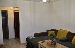 Apartament de 3 camere, 50 mp utili, cartierul Dambu