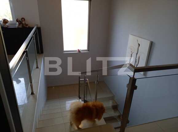 Casa de vânzare 5 camere Corina - 74123CV | BLITZ Târgu Mureș | Poza7