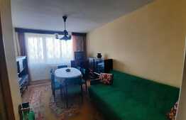 Apartament 2 camere, 50 de mp, zona Garii!