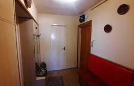 Apartament 2 camere, 50 de mp, zona Garii!