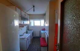 Apartament 2 camere, 50 de mp, zona Garii!