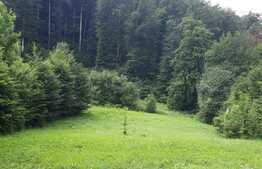 Teren intravilan de 2061 mp, intr-o zona superba a statiunii Sovata