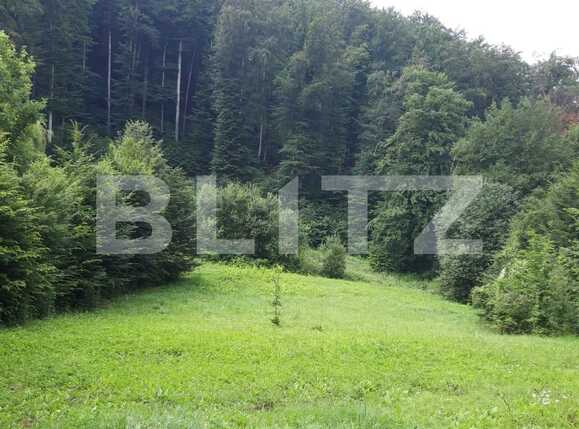 Teren de vânzare Semicentral - 74986TV | BLITZ Târgu Mureș | Poza1