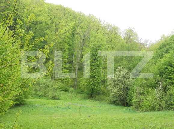 Teren de vânzare Semicentral - 74986TV | BLITZ Târgu Mureș | Poza4