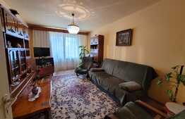 Apartament de 3 camere, 66 mp, decomandat, zona Tudor