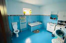 Casa in Santana-Curteni 160 mp cu teren 500 mp , finisata si mobilata