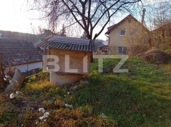 Casa de vânzare 2 camere Sângeorgiu de Mureș - 75593CV | BLITZ Târgu Mureș | Poza9