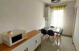 Investiție! Apartament cu 2 camere, 54 mp utili, zona Tudor