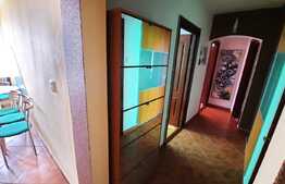Apartament 3 camere, 70 mp utili, pet friendly, zona Dacia, Tudor!