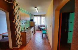 Apartament 3 camere, 70 mp utili, pet friendly, zona Dacia, Tudor!