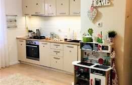 Apartament de 2 camere, renovat, mobilat modern, cartierul Tudor