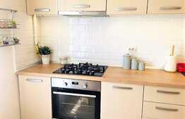 Apartament de 2 camere, renovat, mobilat modern, cartierul Tudor