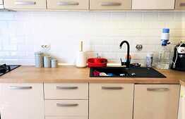 Apartament de 2 camere, renovat, mobilat modern, cartierul Tudor