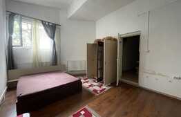 Investiție! imobil cu 2 aparamente, 7 Garsoniere, 2 spații comercial.