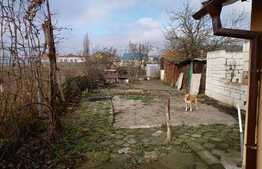 Casa de 80 mp, pe un nivel, teren 1500 mp, zona linistita