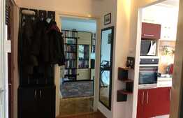 Apartament de 2 camere, decomandat, ideal pentru o familie, zona Tudor