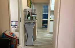 Oportunitate! Apartament 3 camere, 65 mp, zona Tudor Vladimirescu