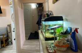 Oportunitate! Apartament 3 camere, 65 mp, zona Tudor Vladimirescu