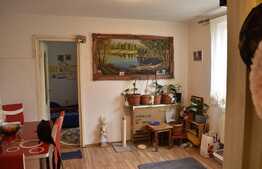 Investitie! Apartament de 3 camere, 40 mp, in cartierul Rovinari