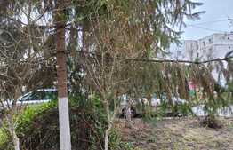 Garsonieră de lux, 30 mp, mobilier nou, decomandata, zona Tudor!