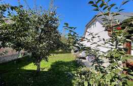 Casa cu 6 camere, 220 Mp în zona Piața armatei