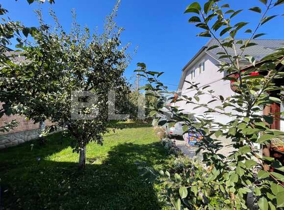 Casa de vânzare 6 camere Piata Armatei - 77456CV | BLITZ Târgu Mureș | Poza12